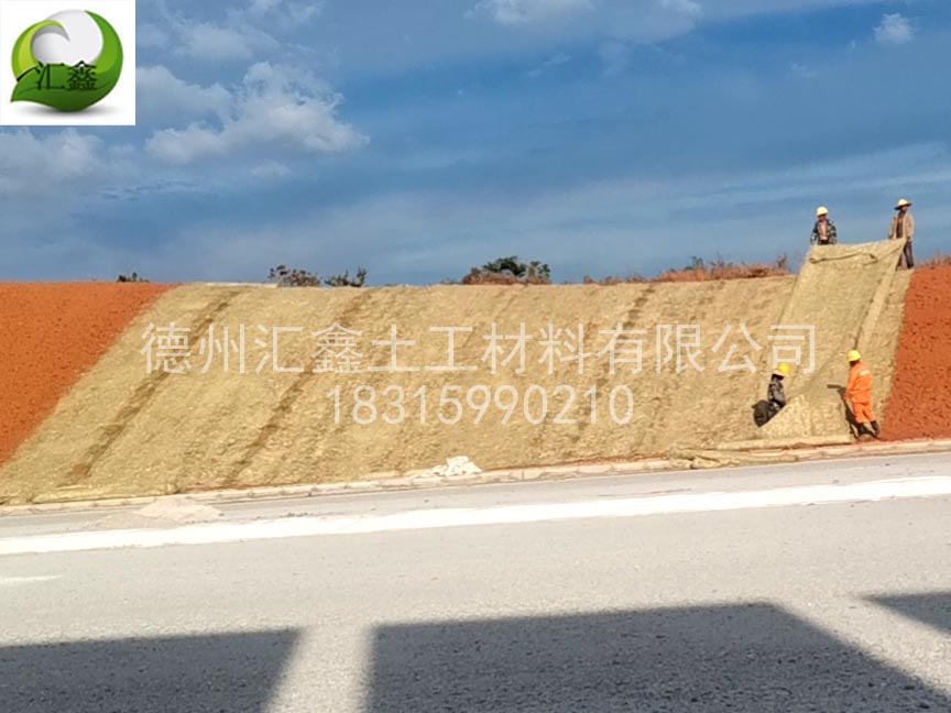 高邊坡植生毯的施工方案有何不同(圖1) 高邊坡植生毯的施工方案有何不同(圖1)