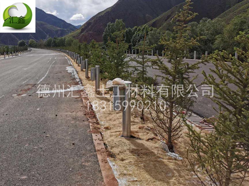 植生毯可以種植植物嗎(圖1) 植生毯可以種植植物嗎(圖1)