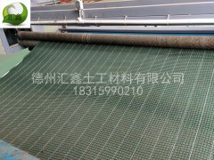 生態(tài)護(hù)坡毯在河道水庫邊坡的應(yīng)用