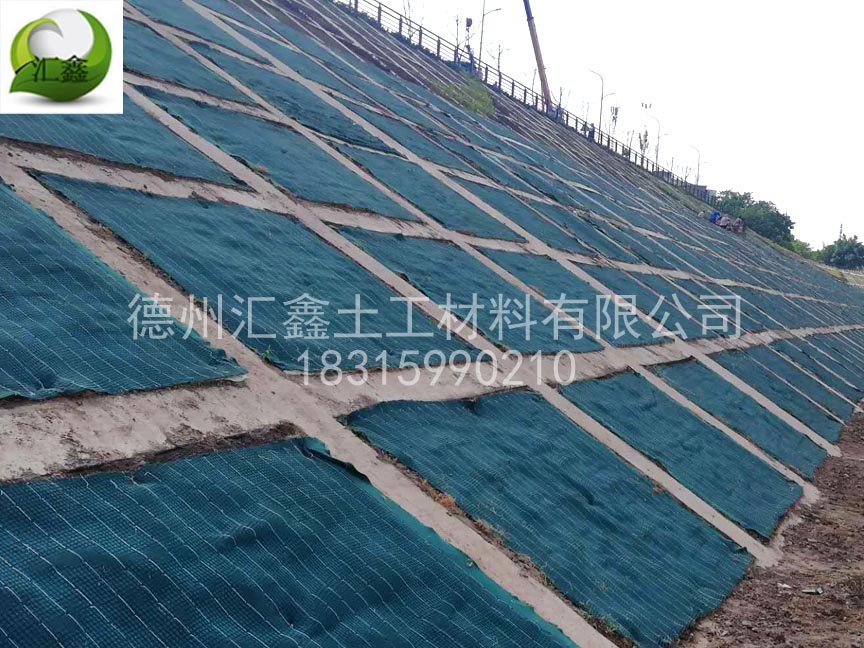 生態(tài)護坡毯在河道水庫邊坡的應用(圖3) 生態(tài)護坡毯在河道水庫邊坡的應用(圖3)
