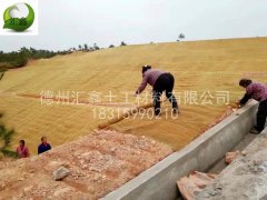 椰絲纖維毯的規(guī)格型號(hào)