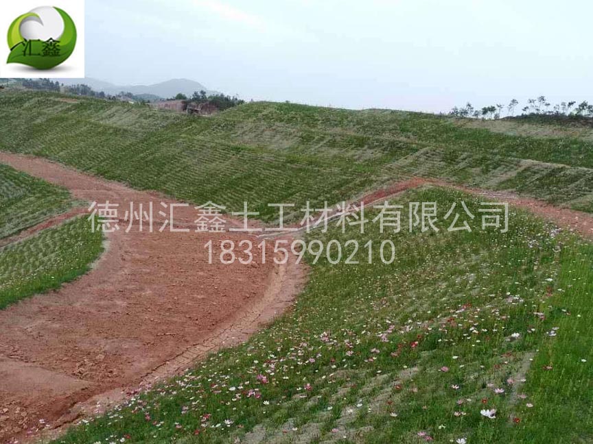 植生毯應(yīng)用在哪些地方