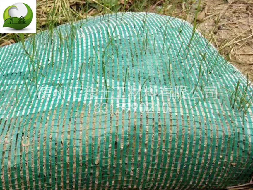 植生袋可以應(yīng)用在什么地方？