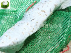 內(nèi)蒙古楊總采購(gòu)植生袋100000條