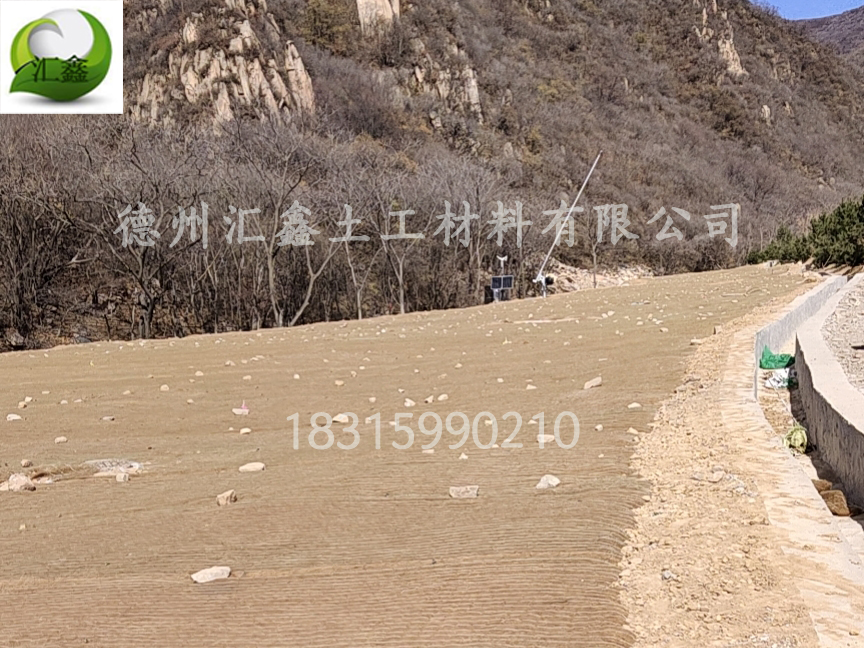 生態(tài)護(hù)坡毯——邊坡防護(hù)綠化的好幫手(圖2) 生態(tài)護(hù)坡毯——邊坡防護(hù)綠化的好幫手(圖2)