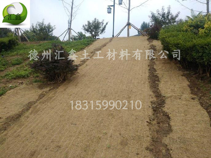 生態(tài)護(hù)坡毯——邊坡防護(hù)綠化的好幫手(圖3) 生態(tài)護(hù)坡毯——邊坡防護(hù)綠化的好幫手(圖3)