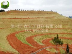 生態(tài)護(hù)坡毯與傳統(tǒng)護(hù)坡方式相比的優(yōu)勢(shì)