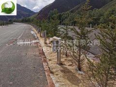 生態(tài)護(hù)坡毯的施工注意事項(xiàng)