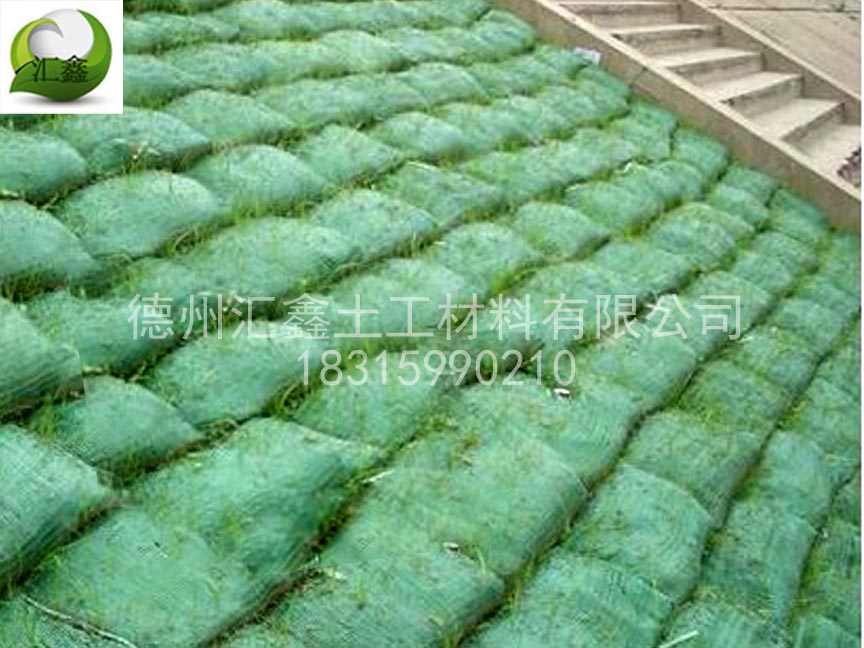 植生袋的作用(圖1) 植生袋的作用(圖1)
