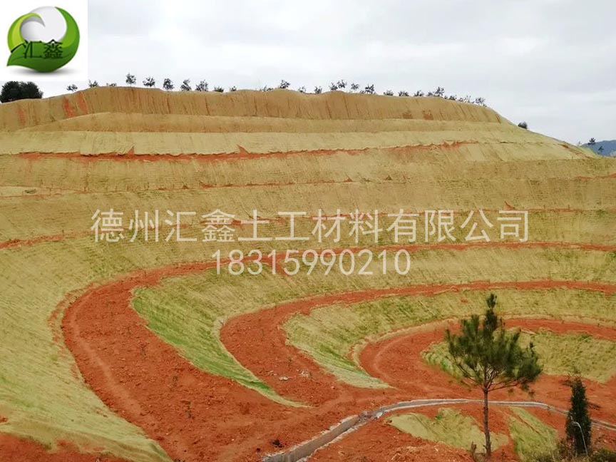 生態(tài)護坡毯種類齊全(圖1) 生態(tài)護坡毯種類齊全(圖1)